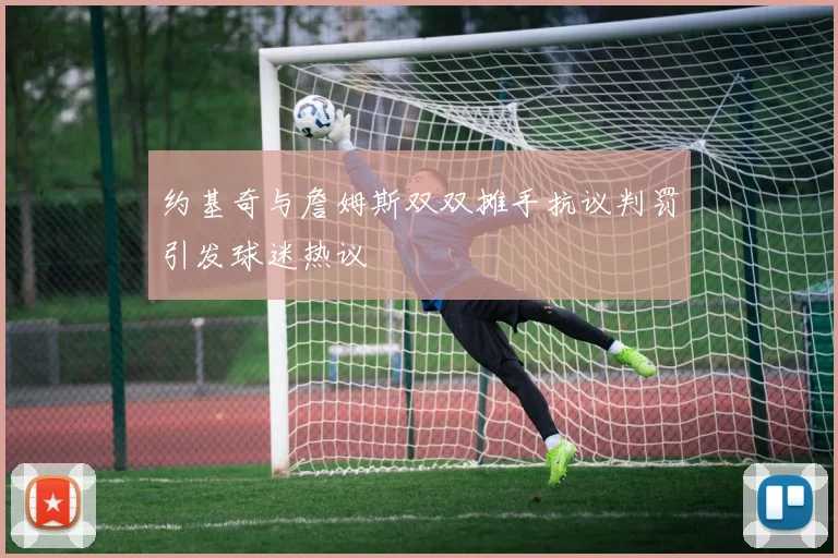 约基奇与詹姆斯双双摊手抗议判罚引发球迷热议